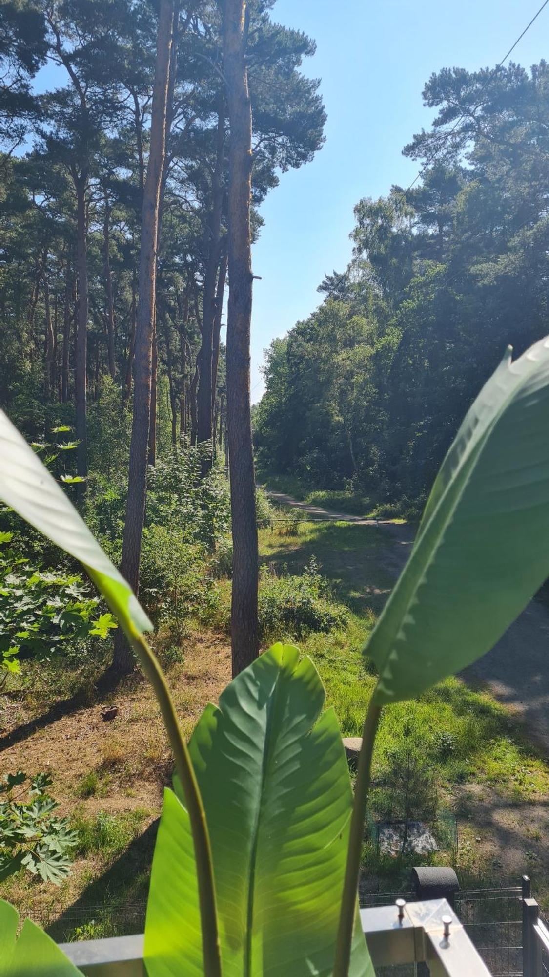 Appartamento Czarna Perla Dziwnówek Esterno foto