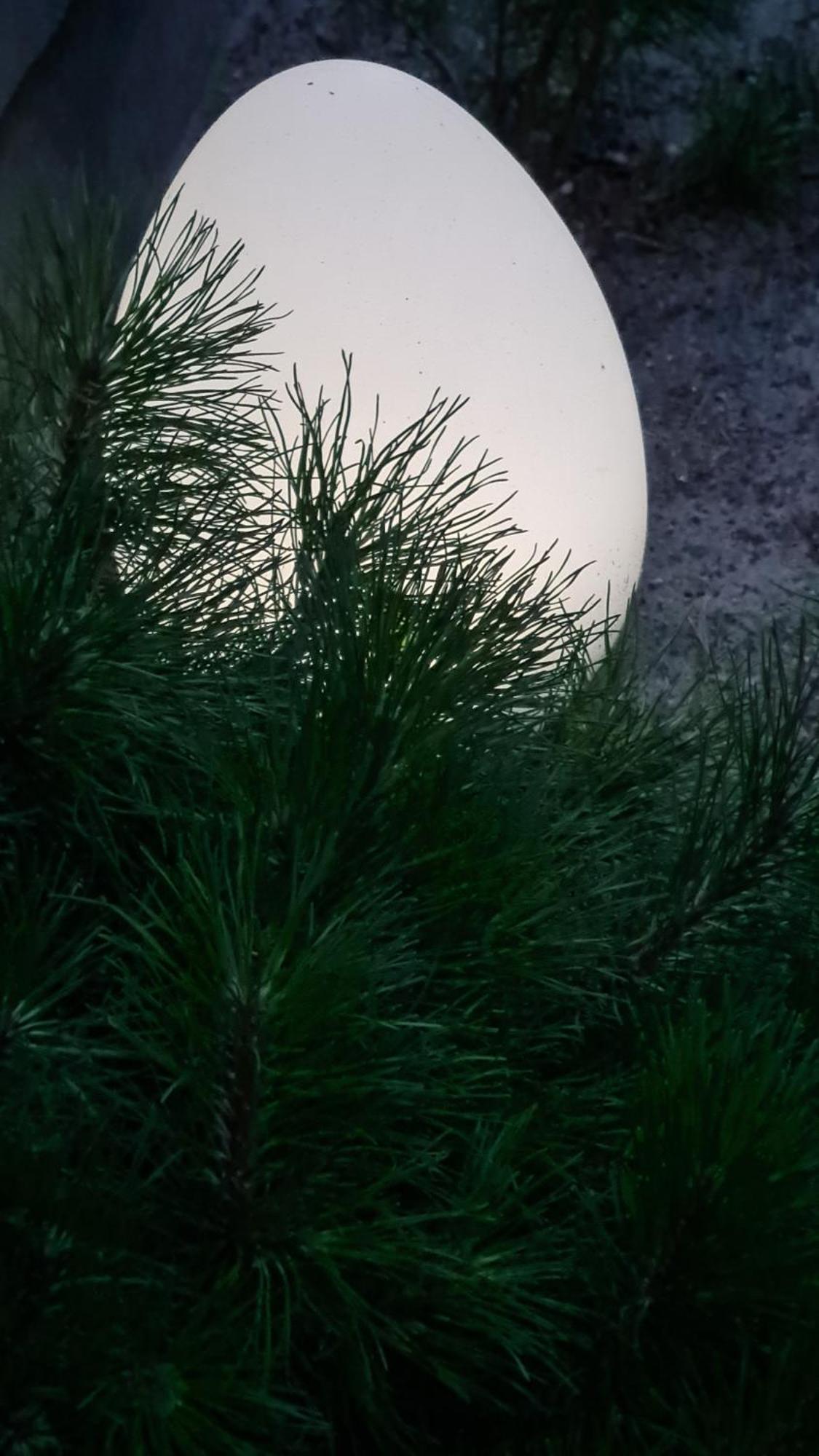 Appartamento Czarna Perla Dziwnówek Esterno foto